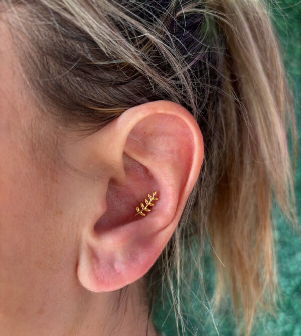 Trepador Atenea gold