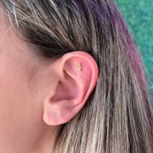 Caballito de mar gold